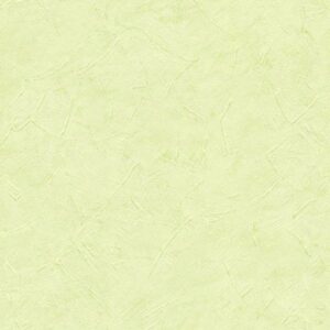 A.S. Creation | Azzurro | 992543 | Papiertapete | Einfarbig | Uni | 0.53 x 10...