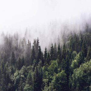 A.S. Creation | Designwalls 2.0 | DD118852 | Fototapete | Vlies | 366 x 254 c...