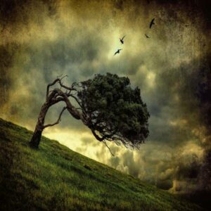 A.S. Creation | Designwalls 2.0 | DD118967 | Fototapete | Vlies | 384 x 260 c...
