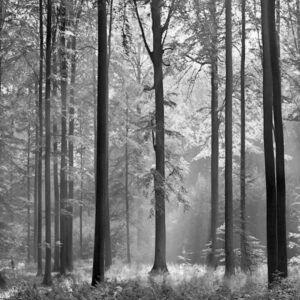 A.S. Creation | Designwalls 2.0 | DD118984 | Fototapete | Vlies | 384 x 260 c...