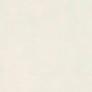 Rasch | Club | 418613 | Vliestapete | Einfarbig | Uni | 0.53 x 10.05 m | Weiß