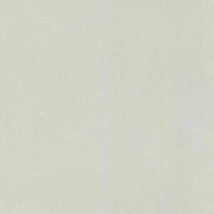 Rasch | Club | 418637 | Vliestapete | Einfarbig | Uni | 0.53 x 10.05 m | Grau