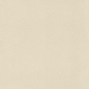 Rasch | Club | 418644 | Vliestapete | Einfarbig | Uni | 0.53 x 10.05 m | Beige