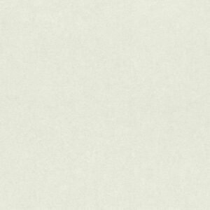Rasch | Linares | 617115 | Vliestapete | Einfarbig | Uni | 0.53 x 10.05 m | Weiß