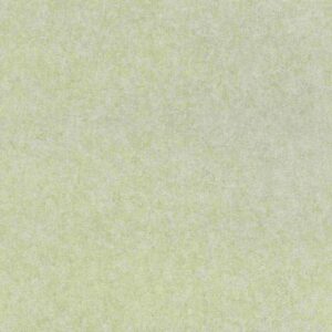 Rasch | Linares | 617368 | Vliestapete | Einfarbig | Uni | 0.53 x 10.05 m | Grün