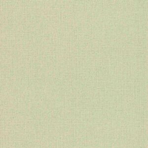 Rasch Andy Wand | 639667 | Vliestapeten Einfarbig | 53cm x 1005cm | Grün