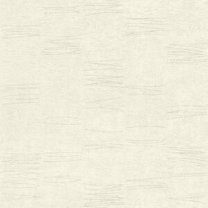 Rasch | Andy Wand | 649925 | Vliestapete | Einfarbig | Uni | 0.53 x 10.05 m |...