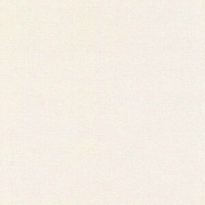 Rasch | Andy Wand | 650501 | Vliestapete | Einfarbig | Uni | 0.53 x 10.05 m |...