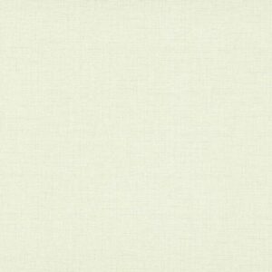 Erismann | Paradisio 2 | 1014001 | Vliestapete | Einfarbig | Uni | 0.53 x 10....