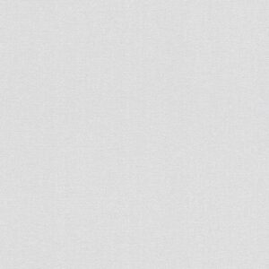 A.S. Creation | Terra | 297327 | Vliestapete | Einfarbig | 10.05 x 0.53 m | Grau