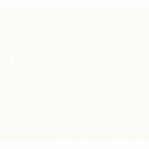 A.S. Creation | Trendwall | 369017 | Vliestapete | Einfarbig | Uni | 0.53 x 1...
