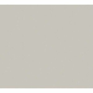 A.S. Creation | Trendwall | 369055 | Vliestapete | Einfarbig | Uni | 0.53 x 1...