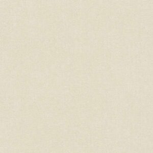 A.S. Creation | Terra | 389254 | Vliestapete | Einfarbig | 10.05 x 0.53 m | C...