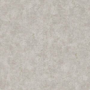 Grandeco | Phoenix | A48605 | Vliestapete | Betonoptik | 10.05 x 0.53 m | Grau
