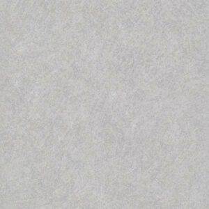 Grandeco | Tempo | A61502 | Vliestapete | Einfarbig | 10.05 x 0.53 m | Grau