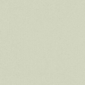 A.S. Creation | Karl Lagerfeld | 378880 | Vliestapete | Einfarbig | 0.53 x 10...