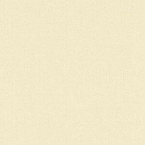 A.S. Creation | Karl Lagerfeld | 378804 | Vliestapete | Einfarbig | 0.53 x 10...