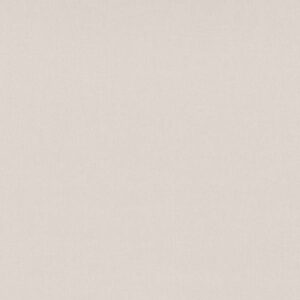Vliestapete 10437-02 Beige Uni Einfarbig Spotlight Erismann