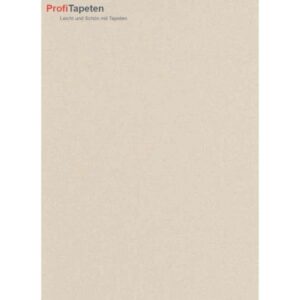 Erismann Secrets | 599402 | Vliestapete Einfarbig | 0.53 m x 10.05 m | Beige
