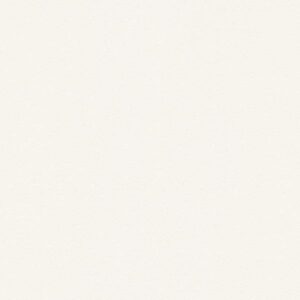 A.S. Creation | Meistervlies 5 | 309112 | Vliestapete | Einfarbig | 0.53 x 10...