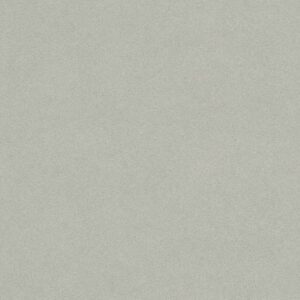 Rasch | Wall Textures Vol. IV | 479409 | Vliestapete | Einfarbig | 0.53 x 10....