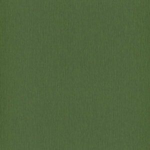 Erismann Paradisio | 6307-36 | Vliestapete Einfarbig | 0.53 m x 10.05 m | Grün