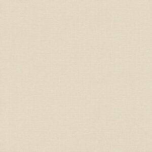 Vliestapete 734041 Beige Uni Einfarbig Deco Style Rasch