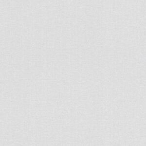 A.S. Creation | Terra | 297327 | Vliestapete | Einfarbig | 10.05 x 0.53 m | Grau