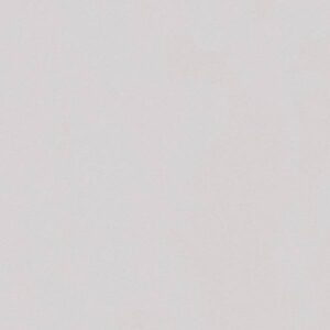 A.S. Creation | New Life | 303257 | Vliestapete | Einfarbig | Uni | 0.53 x 10...