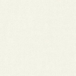 A.S. Creation | Neue Bude 2.0 | 361681 | Vliestapete | Einfarbig | Uni | 0.53...