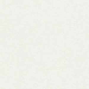 A.S. Creation | Desert Lodge | 367202 | Vliestapete | Einfarbig | Uni | 0.53 ...