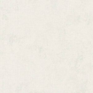 A.S. Creation | New Walls | 374307 | Vliestapete | Betonoptik | 0.53 x 10.05 ...