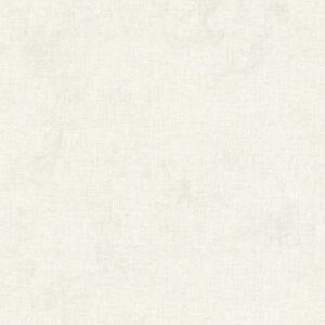 A.S. Creation | New Walls | 374311 | Vliestapete | Betonoptik | 0.53 x 10.05 ...