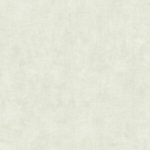 A.S. Creation | Terra | 389225 | Vliestapete | Einfarbig | 10.05 x 0.53 m | Grün