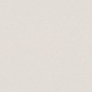 A.S. Creation | Terra | 389253 | Vliestapete | Einfarbig | 10.05 x 0.53 m | B...