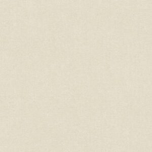 A.S. Creation | Terra | 389254 | Vliestapete | Einfarbig | 10.05 x 0.53 m | C...