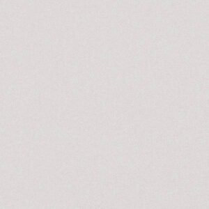 A.S. Creation | Terra | 389255 | Vliestapete | Einfarbig | 10.05 x 0.53 m | Grau