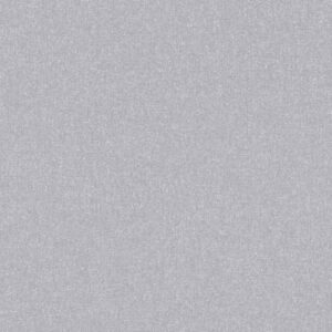 A.S. Creation | Terra | 389257 | Vliestapete | Einfarbig | 10.05 x 0.53 m | Grau