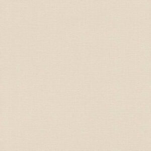 Vliestapete 734041 Beige Uni Einfarbig Deco Style Rasch