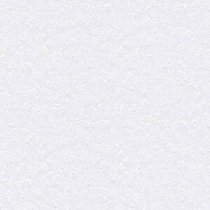 A.S. Creation | Shades of White | 942319 | Papiertapete | Strukturtapete | 10...