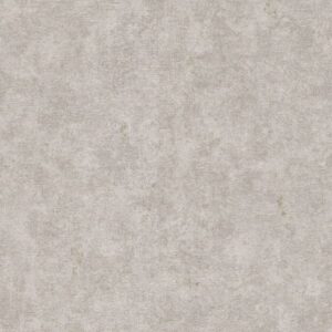 Grandeco | Phoenix | A48605 | Vliestapete | Betonoptik | 10.05 x 0.53 m | Grau