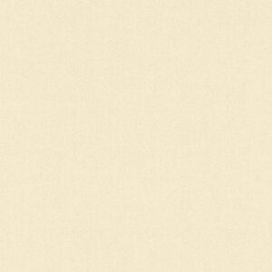 A.S. Creation | Karl Lagerfeld | 378804 | Vliestapete | Einfarbig | 0.53 x 10...