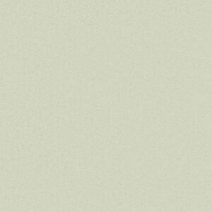 A.S. Creation | Karl Lagerfeld | 378880 | Vliestapete | Einfarbig | 0.53 x 10...