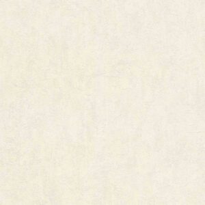 Rasch | Andy Wand | 458015 | Vliestapete | Einfarbig | Uni | 0.53 x 10.05 m |...