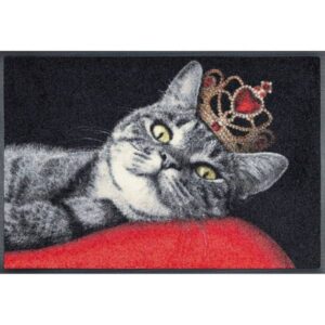 Fussmatte Royal Cat 75 x 50 cm Schmutzfangmatte waschbar wash+dry Design