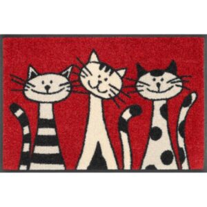 Fussmatte Three Cats Schmutzfangmatte waschbar versch. Größen wash+dry Design